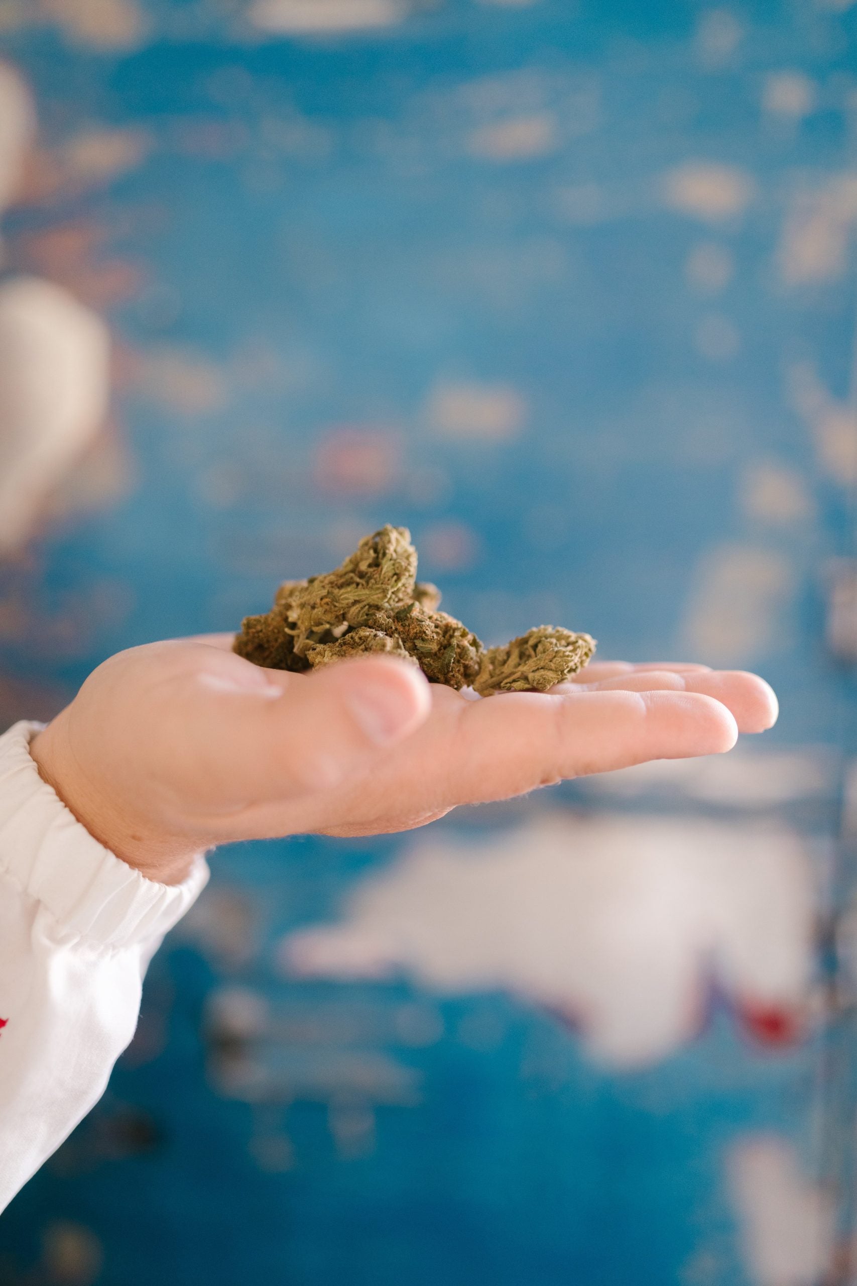 Choosing THCA flower