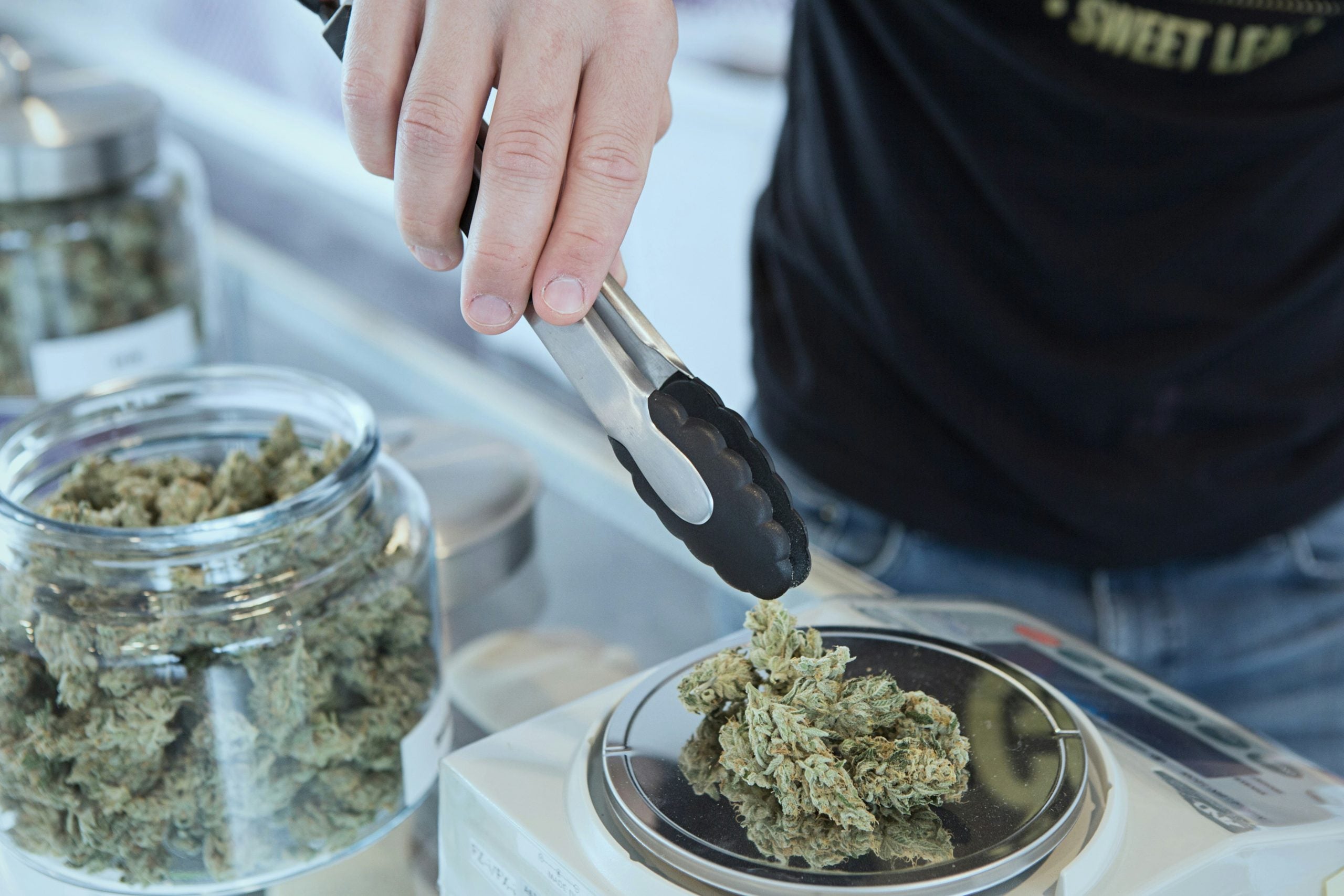 THCA percentage