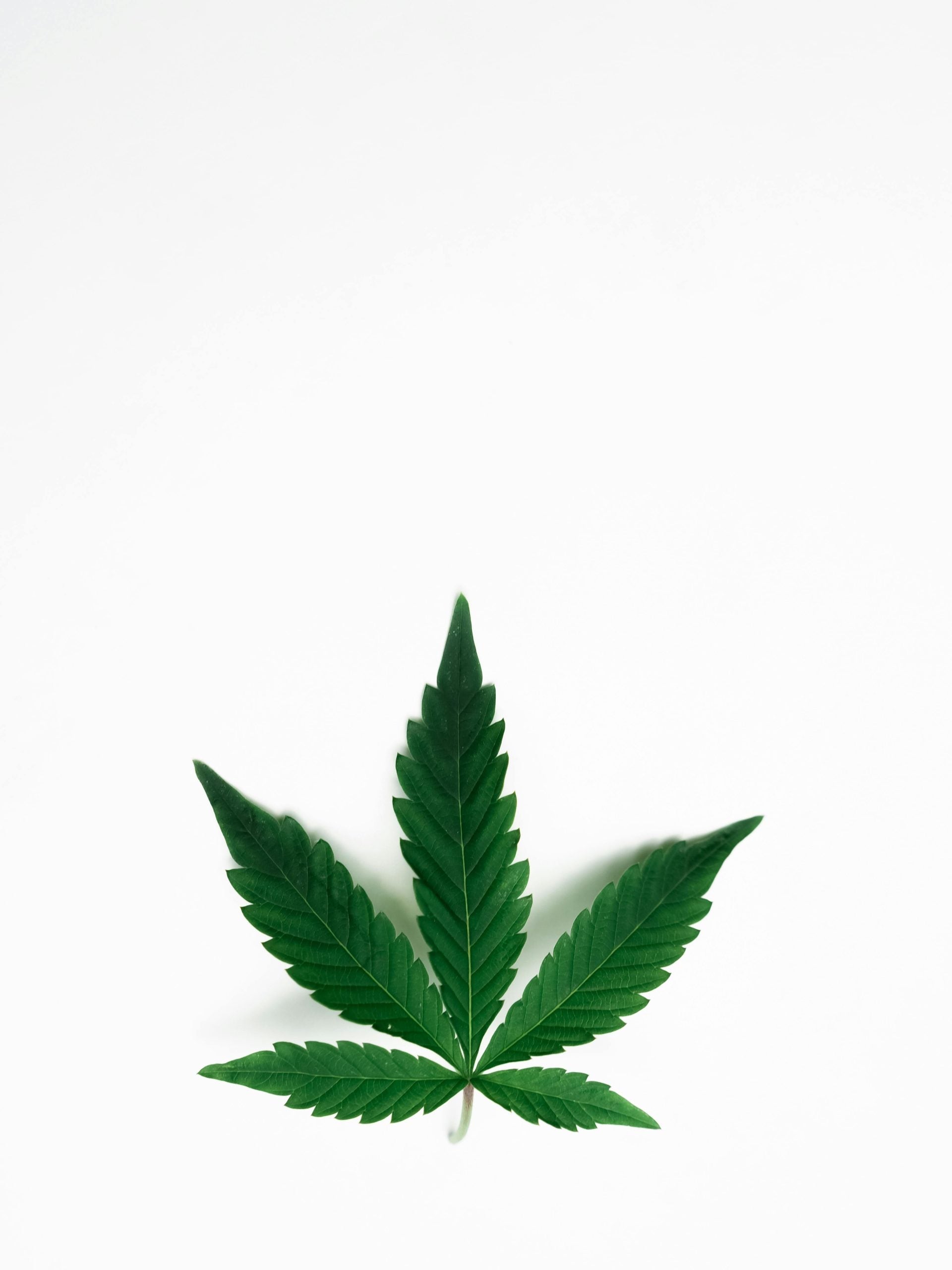 THCA flower