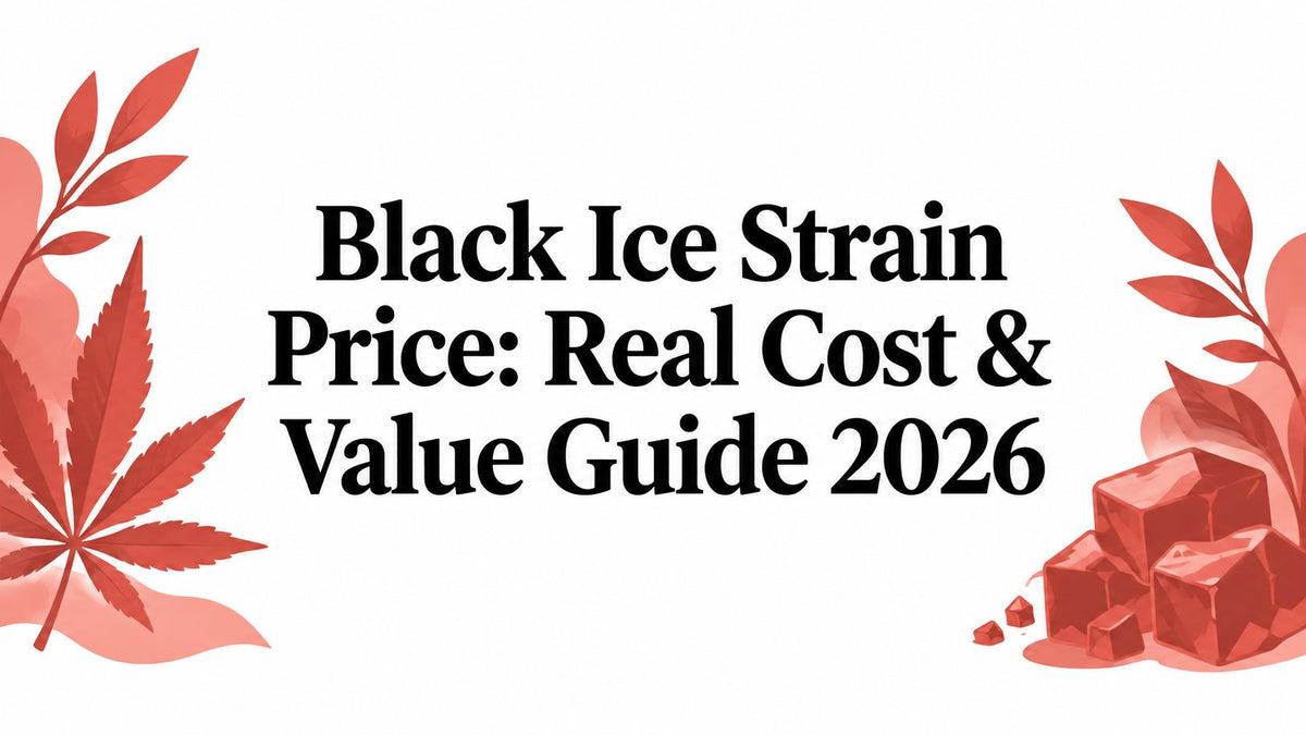 Black Ice Strain Price: Real Cost & Value Guide 2026