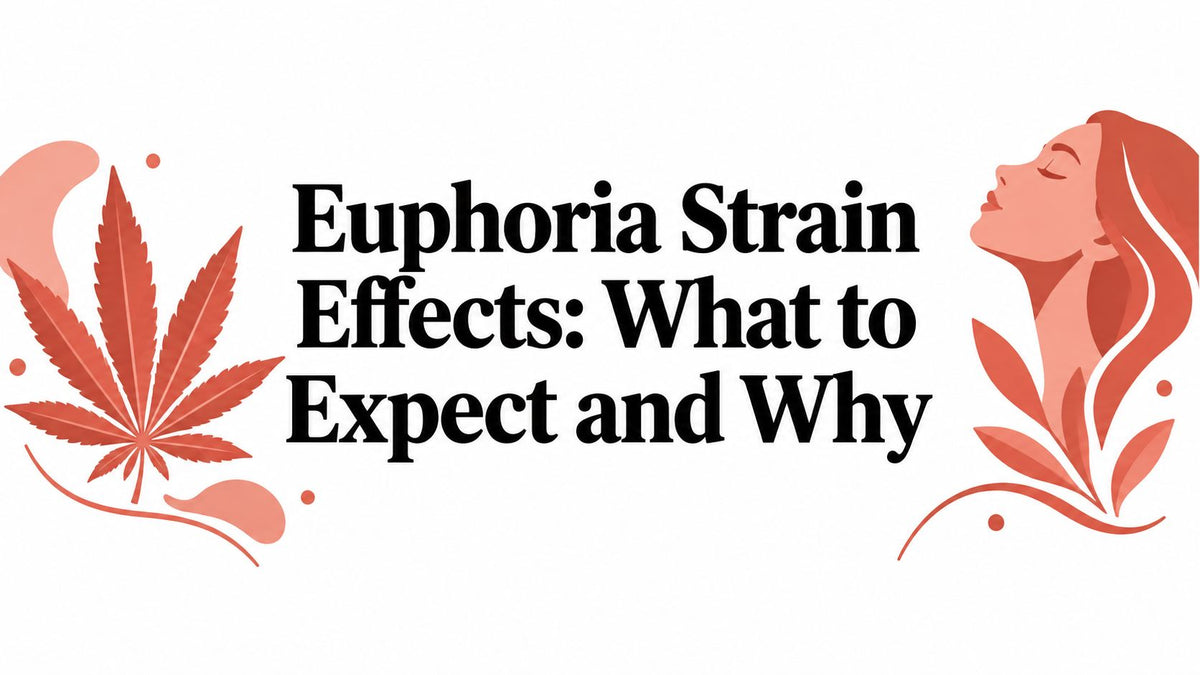Euphoria Strain Effects: What to Expect and Why