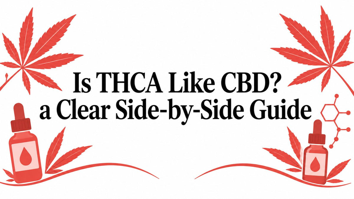 Is THCA Like CBD? a Clear Side-by-Side Guide