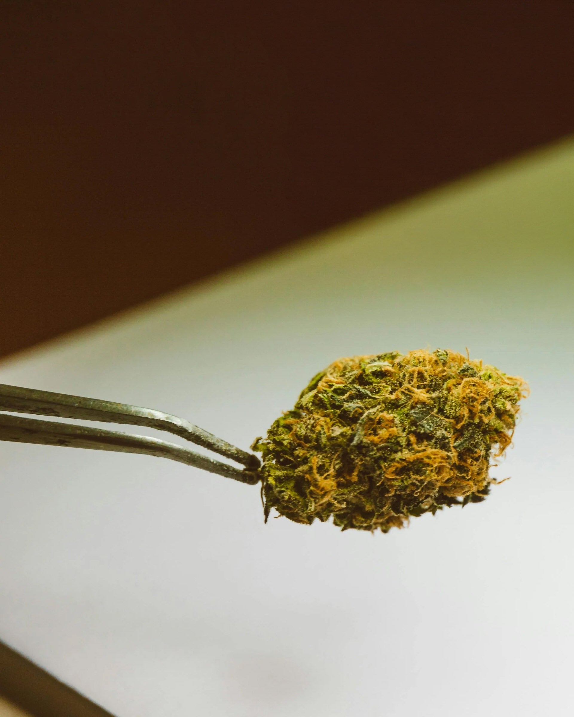 Is THCA Flower Legal in My State? A 2025 Legal Guide