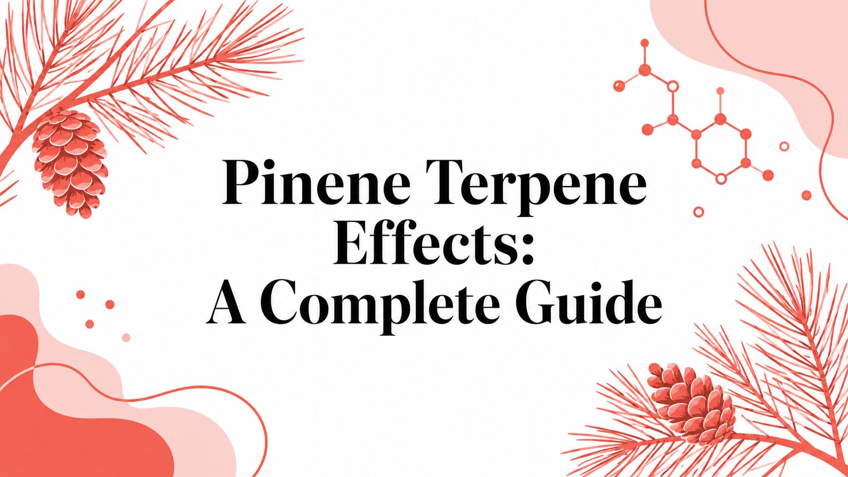 Pinene Terpene Effects: A Complete Guide