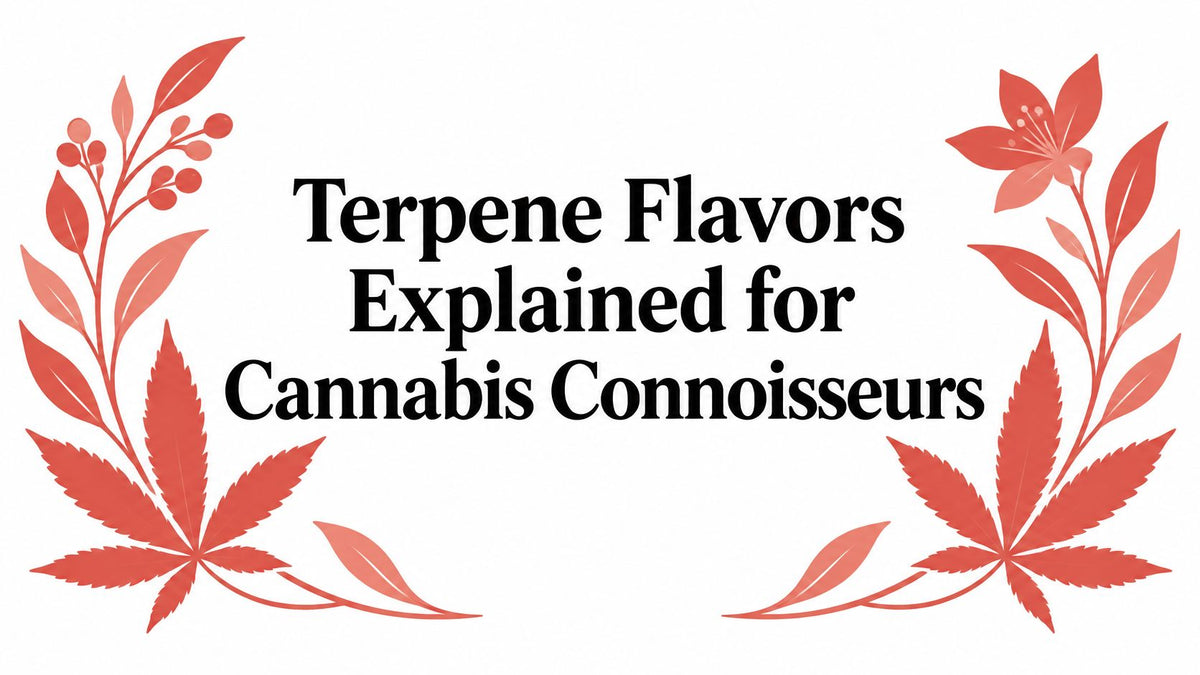 Terpene Flavors Explained for Cannabis Connoisseurs