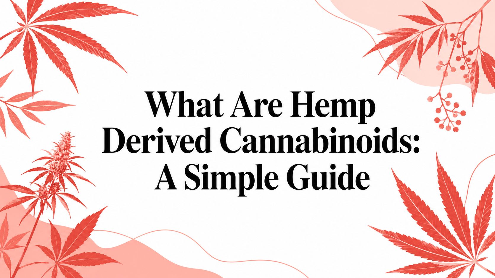 What Are Hemp Derived Cannabinoids: A Simple Guide