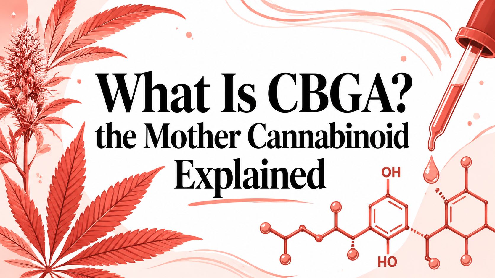 What Is CBGA? the Mother Cannabinoid Explained – Melt Official