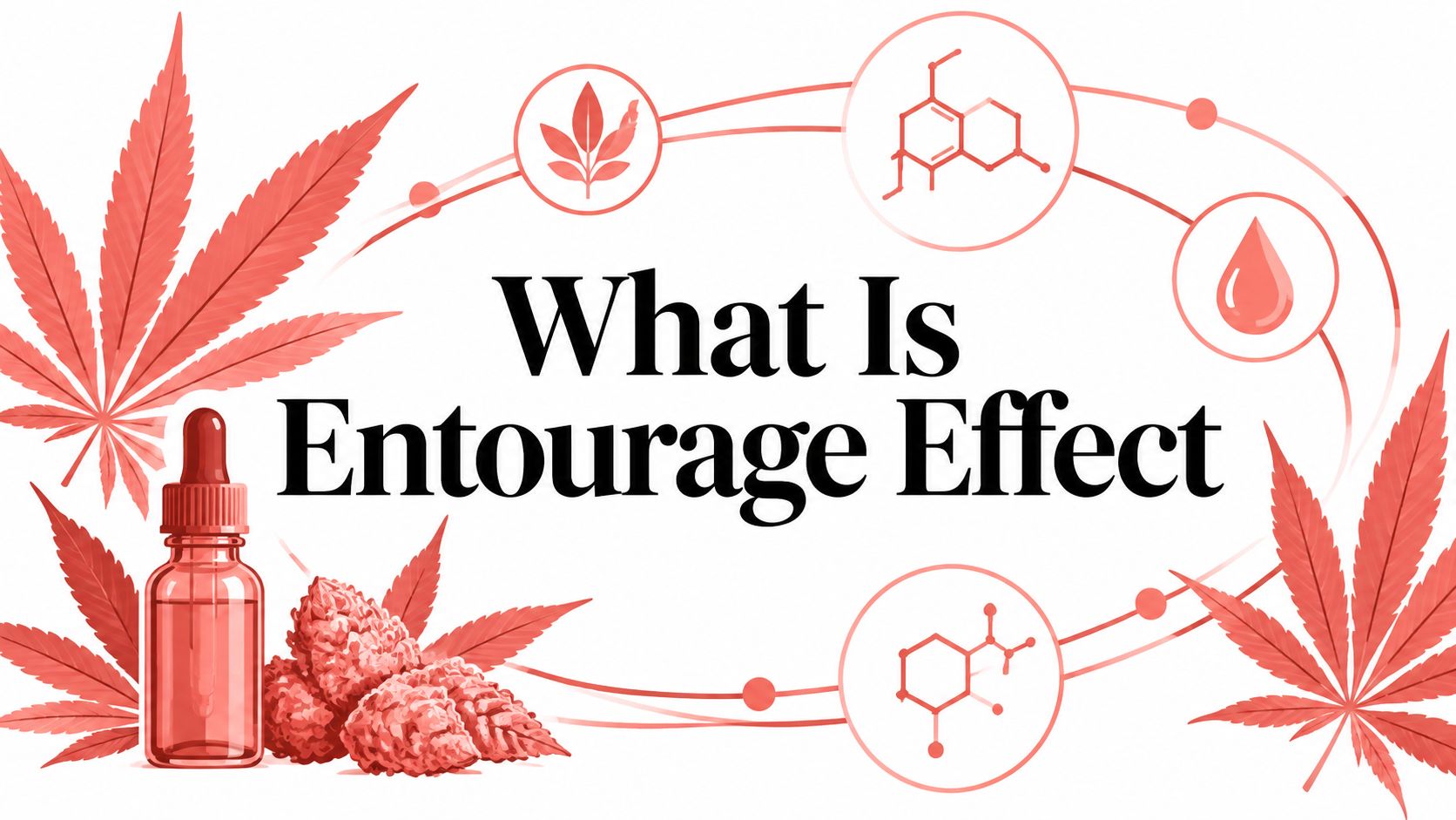 What Is Entourage Effect