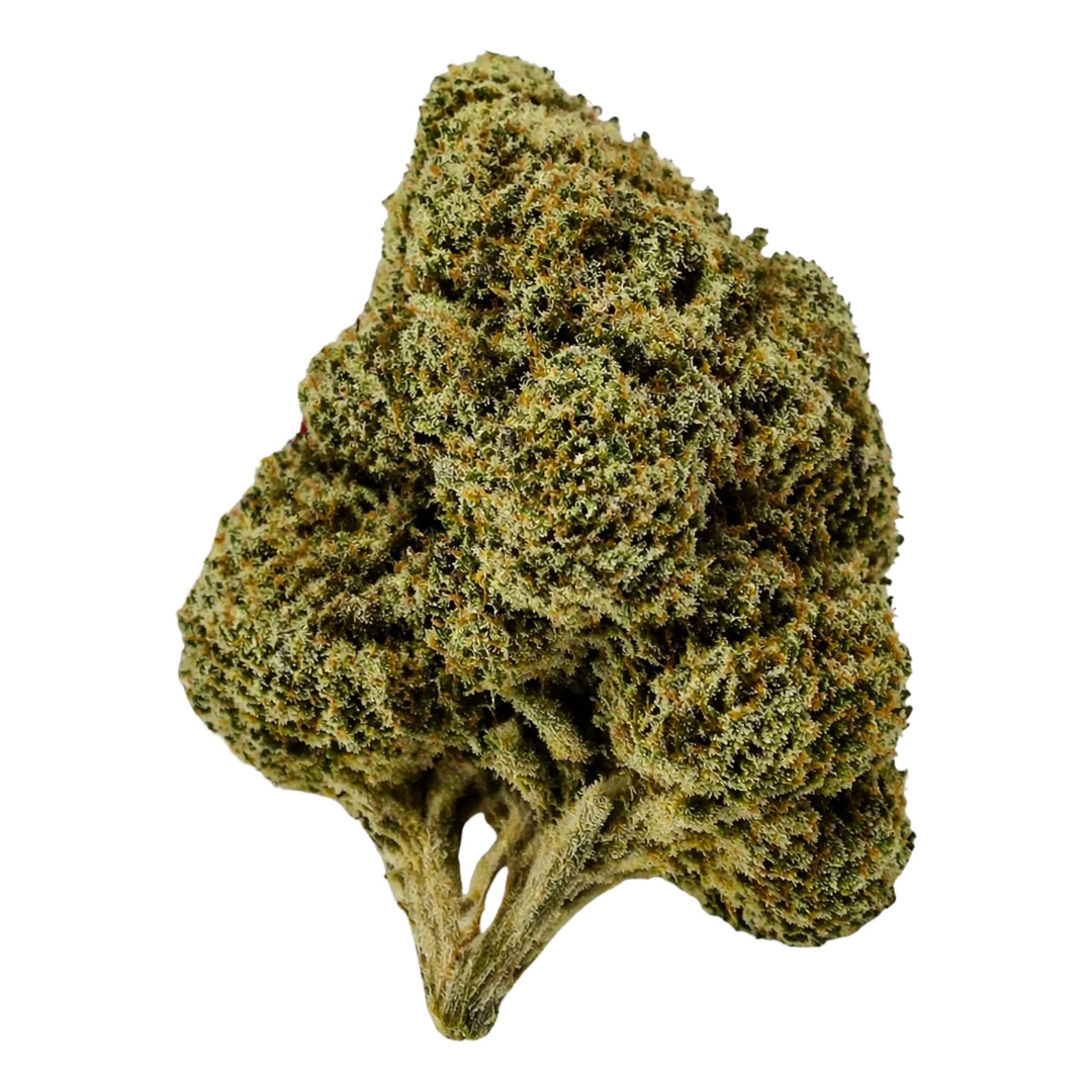 Sherbert Hybrid THCA Flower - (28 grams)