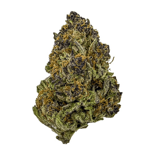 Red Congolese Bigs - (28 grams)