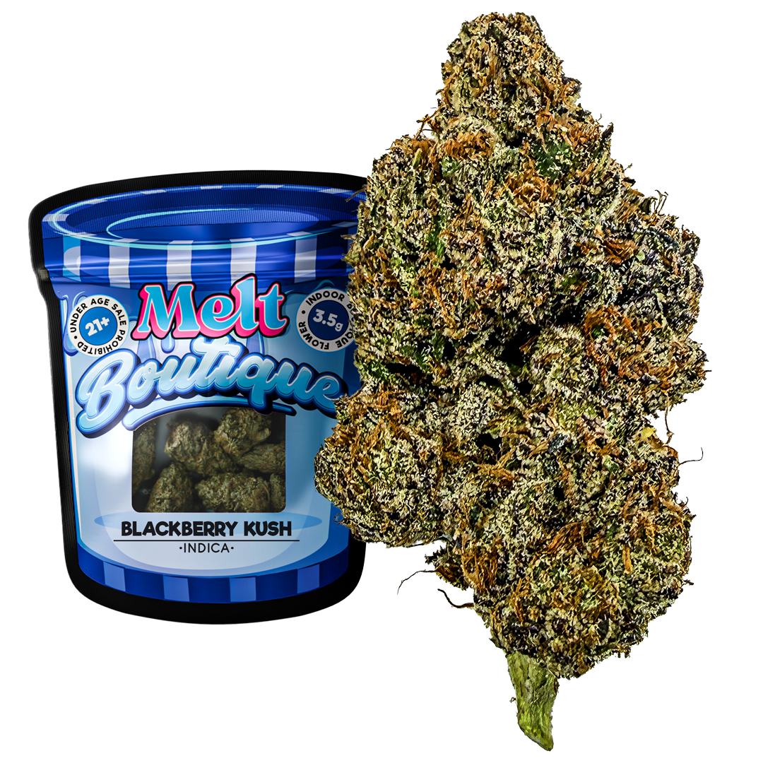 Blackberry Kush THCA Flower – Indica Cannabis | 3.5g Boutique Craft Flower by Melt