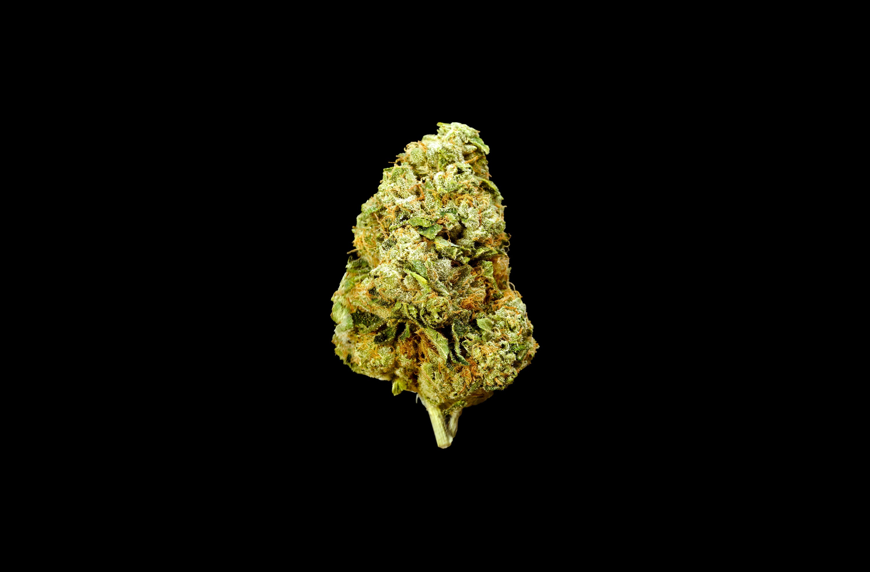 SFV OG THCA