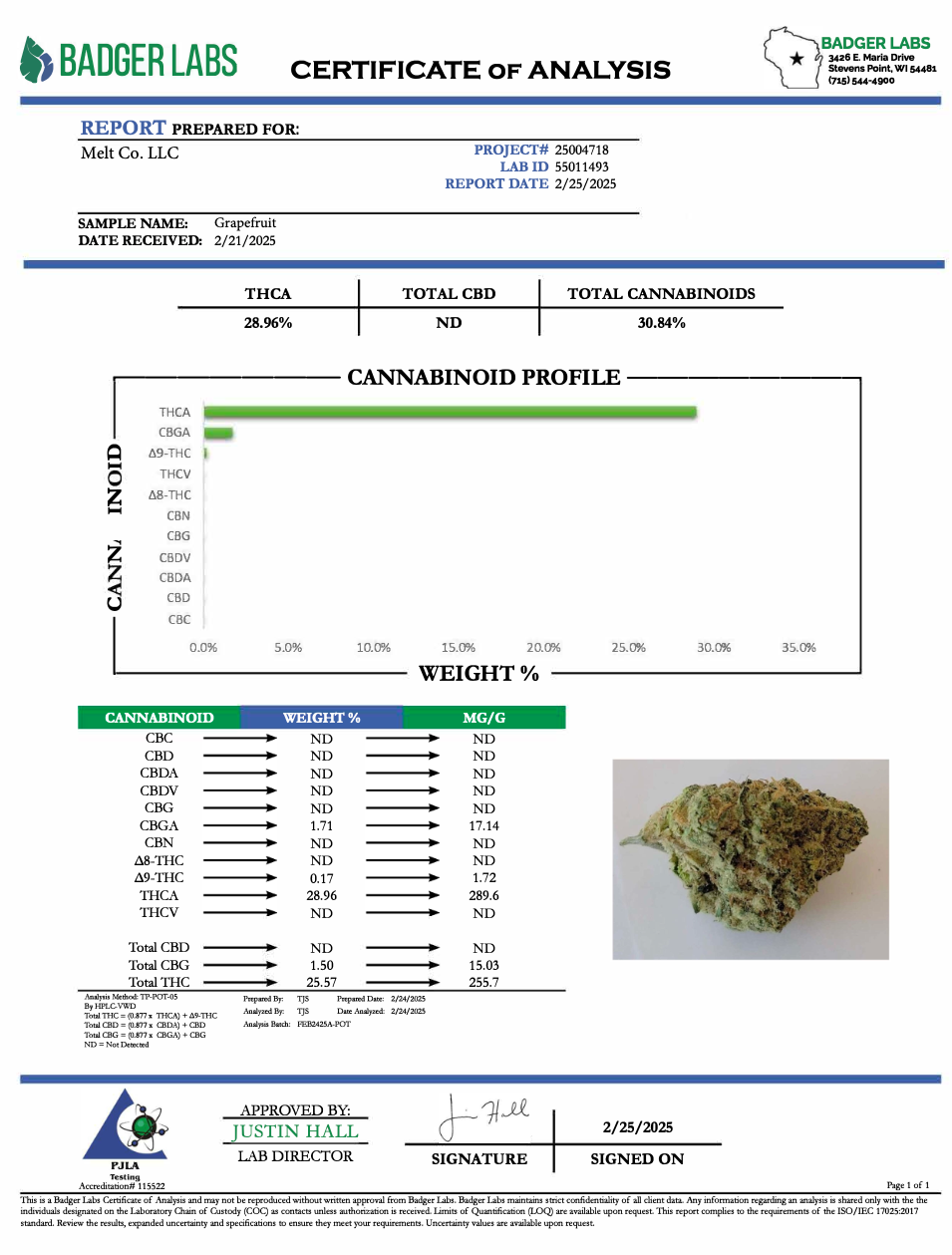 Grapefruit THCA Flower – Sun Grown Sativa | 3.5g Cannabis Buds, Uplifting Citrus Aroma