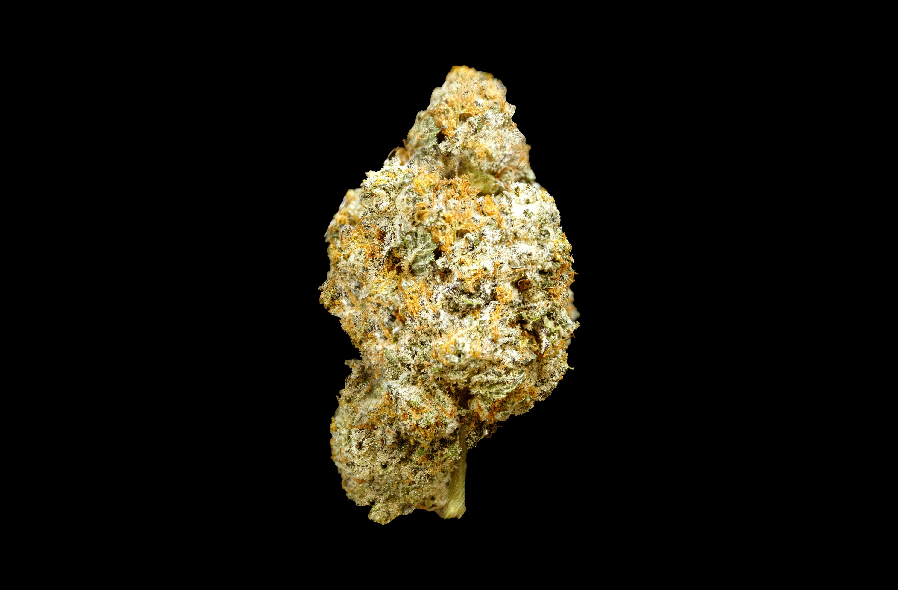 white truffle tca