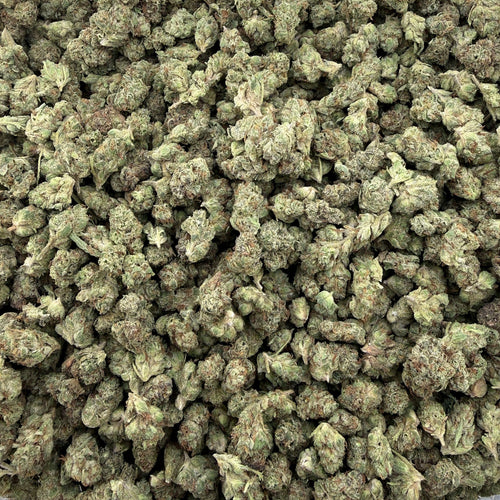Government Oasis smalls THCA flower — premium