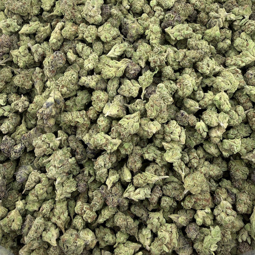 Gush Mintz smalls THCA flower — premium