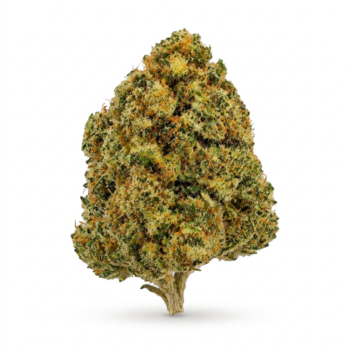 Harlequin Bigs — (28 grams)