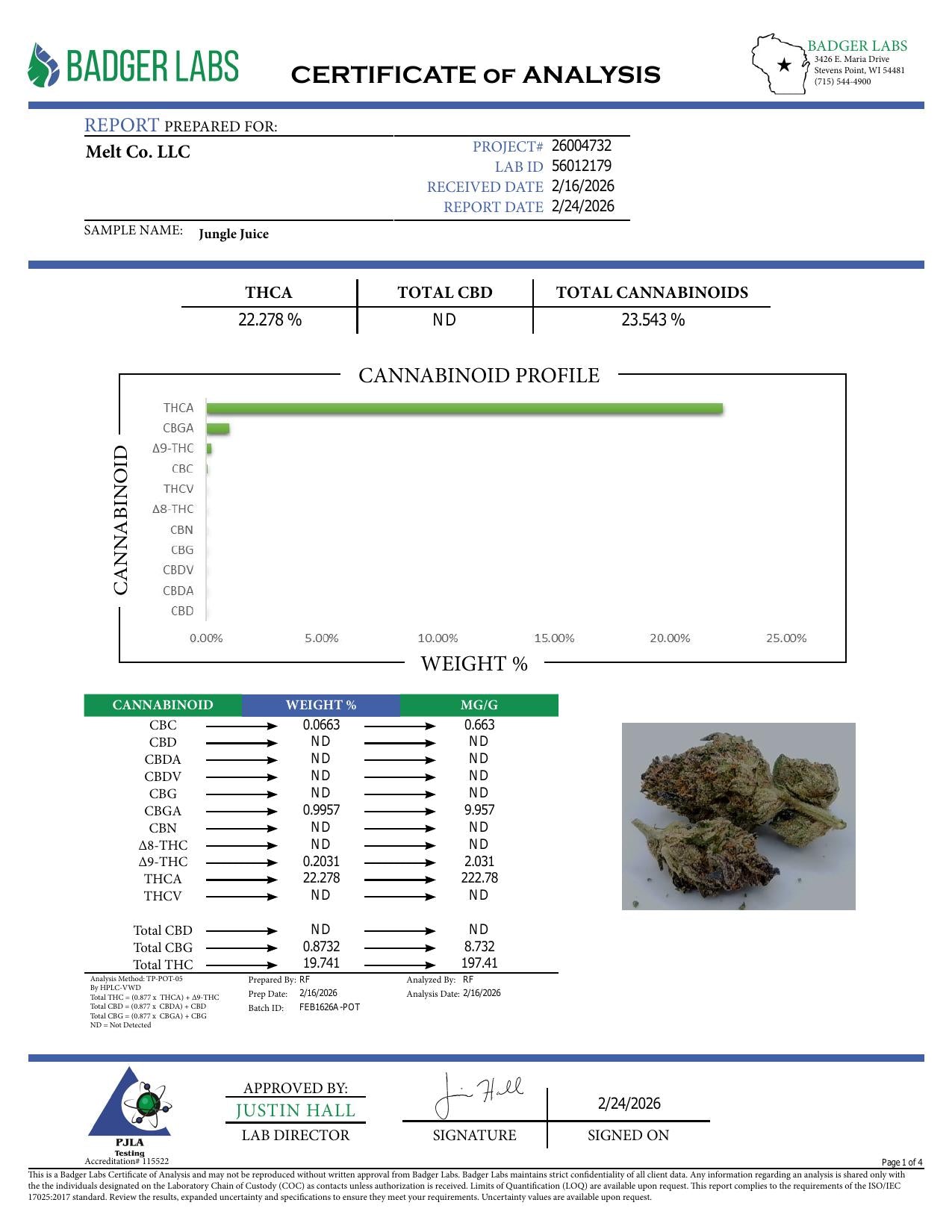 Lab report - Jungle Juice THCA potency analysis