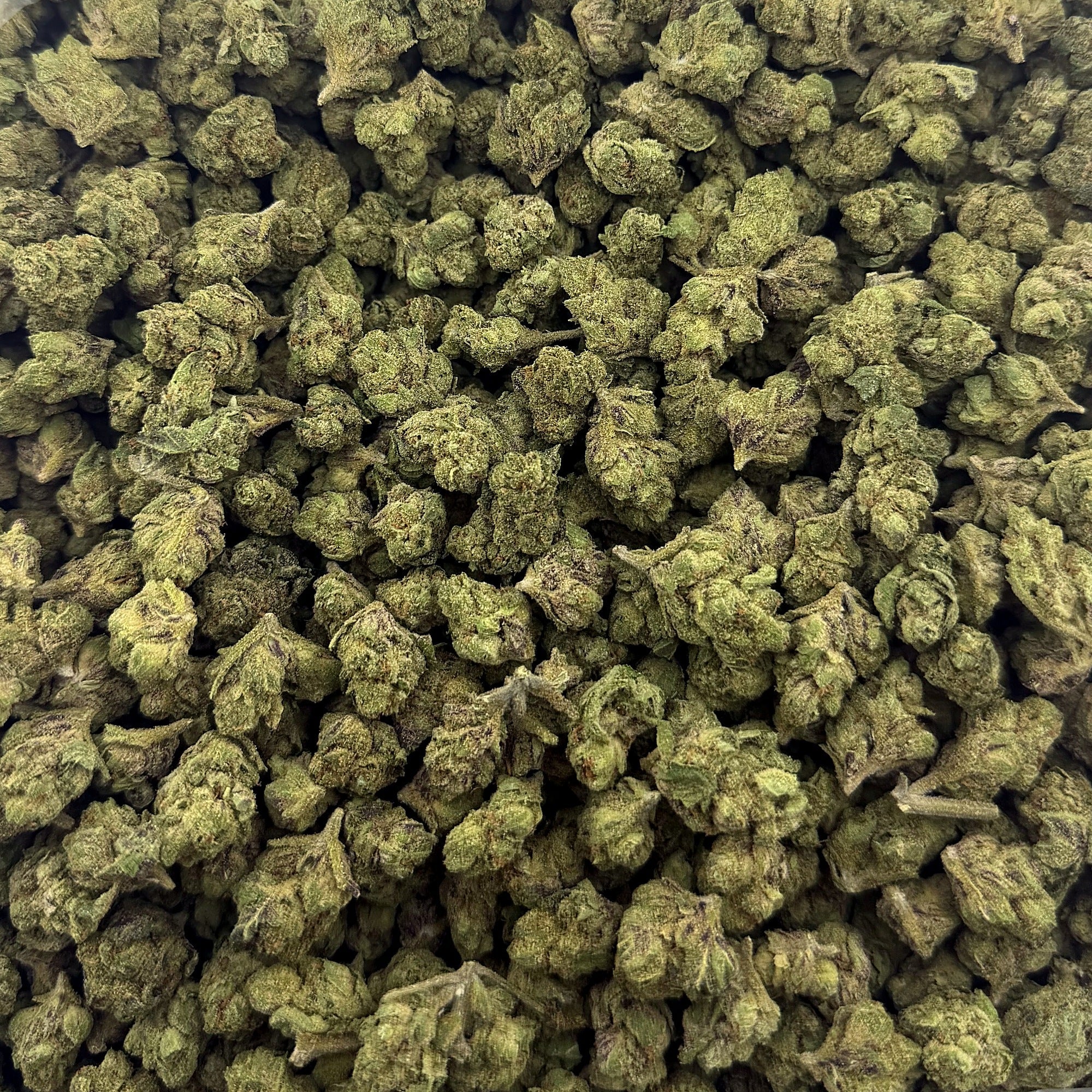 Lollipop Smalls - (28 grams)